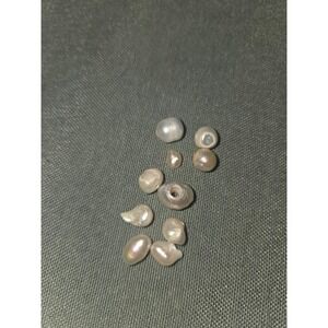 Natural Baroque Freshwater Pearl Loose Beads and Shells Irregular Shimmering